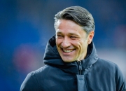 LOL决赛-霍芬海姆一路逆风，客场告捷加分的简单介绍