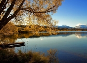 LOL决赛-当英格拉姆在深圳的篮筐上狂轰50分，为何仍是深圳队带走了胜利？