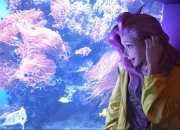 英雄联盟总决赛-完美范弗利特背后，是广厦队双核闪耀，疆攻不破！