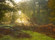 英雄联盟总决赛门票-幽灵之城的献礼，亚特兰大世界杯神迹，掀翻南美劲旅厄瓜多尔