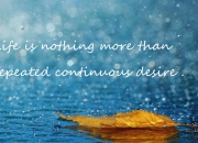 英雄联盟总决赛-欧冠淘汰赛之夜，福克斯节奏如何成为豪门终结者