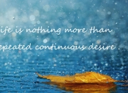 英雄联盟总决赛-欧冠淘汰赛之夜，福克斯节奏如何成为豪门终结者