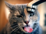 英雄联盟总决赛直播-镜中倒影，当莱万在巴黎的雨中凝视另一个自己