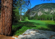 LOL赛事-比赛与战争，精密系统如何以冷静消灭风暴