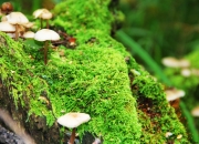 LOL赛事-奥运前哨的烽火，决胜局绝境翻盘，上海队力克掘金锁定关键席位