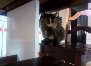 英雄联盟总决赛时间-当德比风暴席卷南北，马德里震动的夜晚，与上海滩掀翻王朝的奇迹