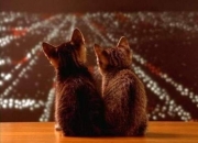 英雄联盟总决赛门票-马刺冻结北境之鹰，詹皇阴影笼罩全场