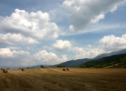 LOL决赛-（扩展思维）