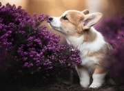 英雄联盟总决赛-奇迹日，逆转与主宰，体育史上那些跨越时空的共鸣