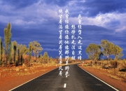 英雄联盟总决赛门票-为了体现唯一性，我们不能仅仅写一篇常规的赛后复盘。我们要挖掘一场不可能的比赛，一个异化的英雄。卡瓦哈尔，作为西班牙最顶级的边后卫，通常扮演的是执行者而非收割者。而土耳其，往往被视为搅局者而非收割者