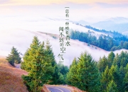 英雄联盟总决赛直播-（扩展思维）