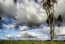 LOL赛事-穿越时空的对决，当吉林队遇上死神杜兰特