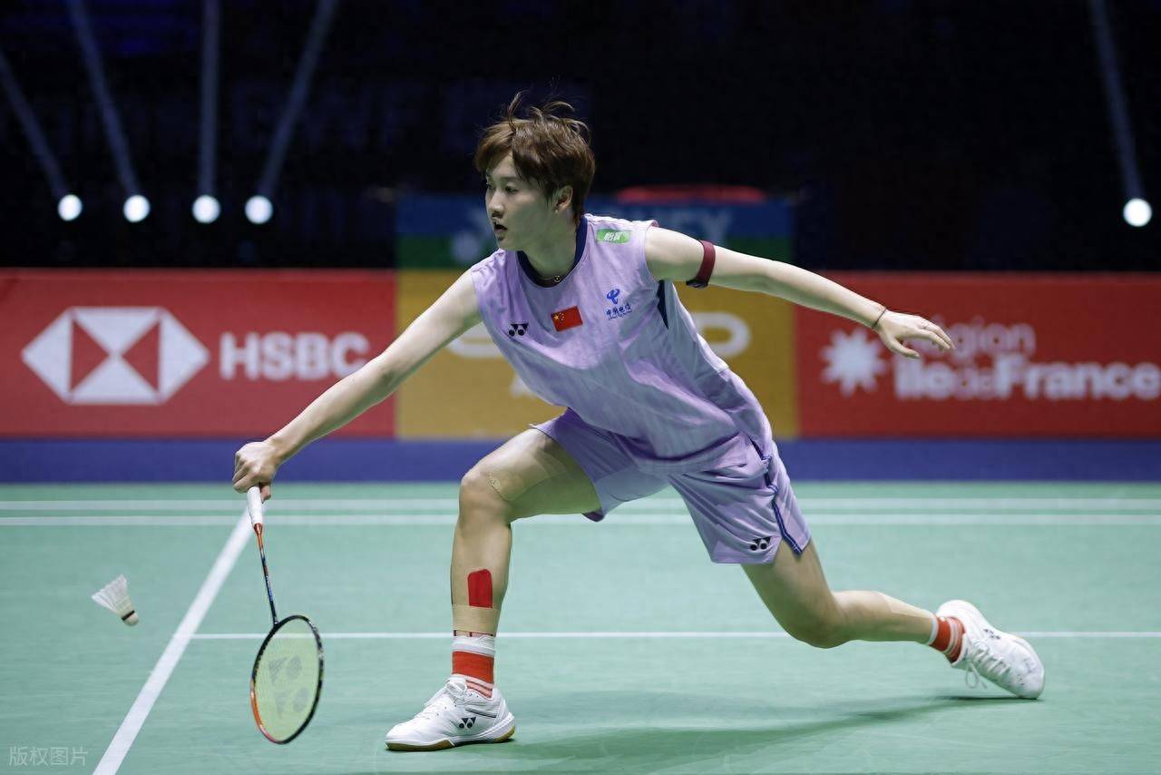 德国队绝杀日本队，陈雨菲高光表现的简单介绍