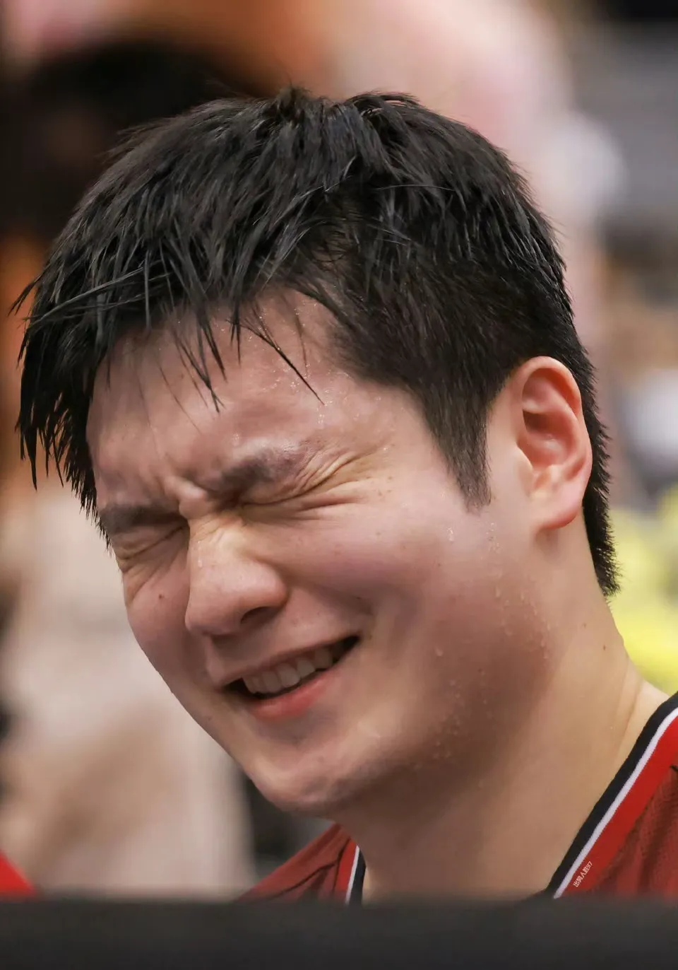 关于日本队完胜德国队，樊振东关键制胜的信息