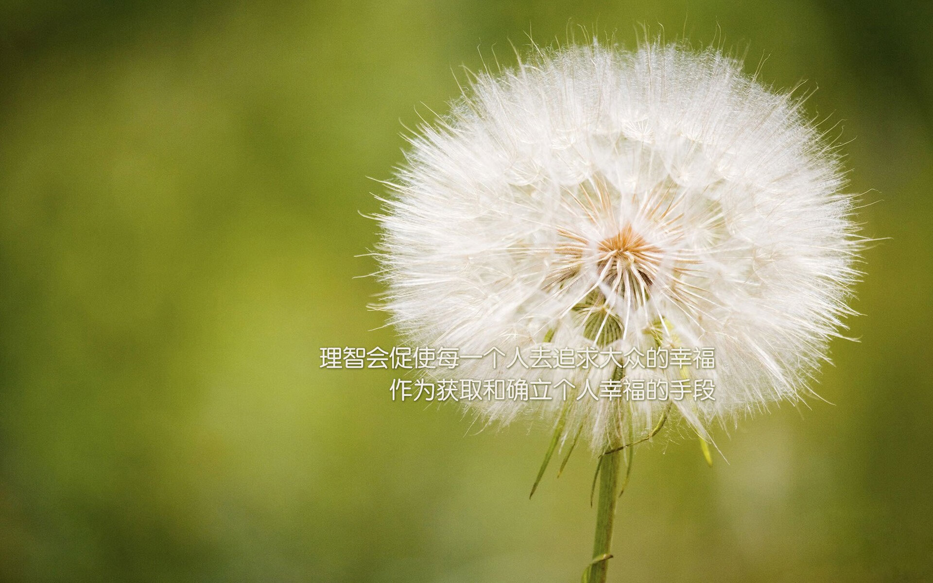 哈弗茨全程高能输出，皇马碾压比利时—足坛双雄的胜利之歌