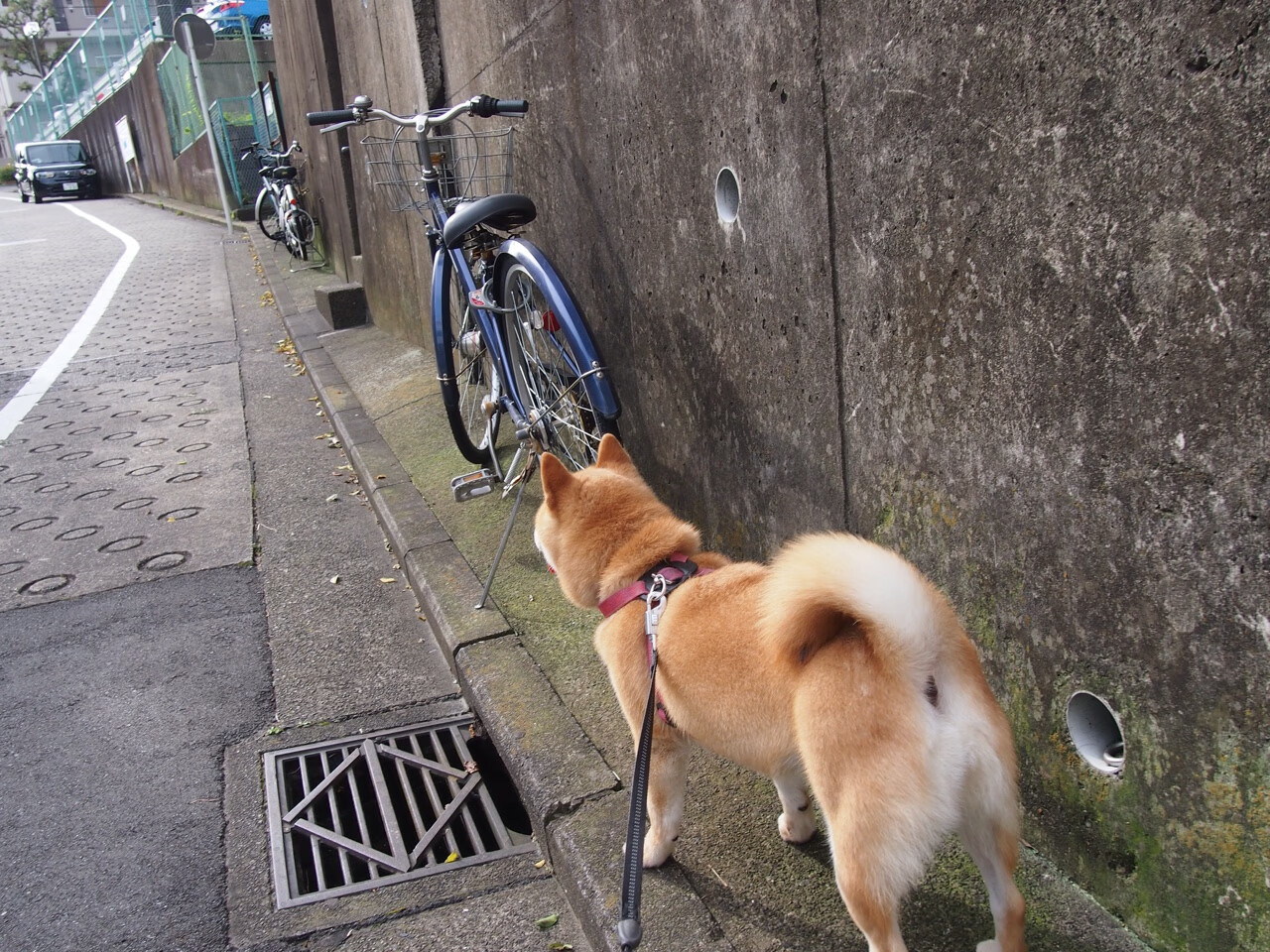 火力全开！伊萨克刀刀见血，伊拉克客场掀翻马赛