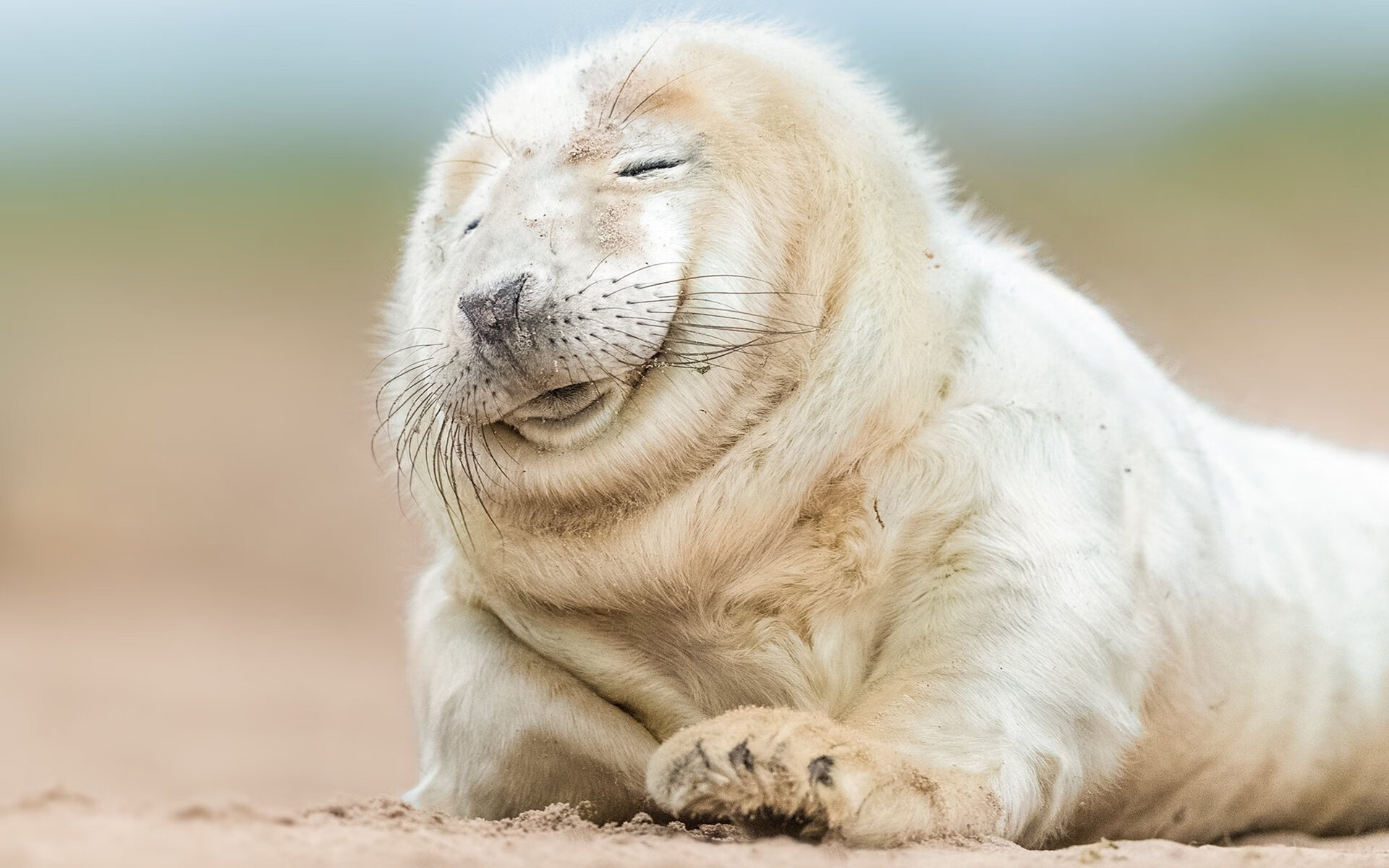 雪崩式完胜！金玟哉化身禁区猛兽—解析马赛如何让美加墨世界杯的聚光灯提前聚焦