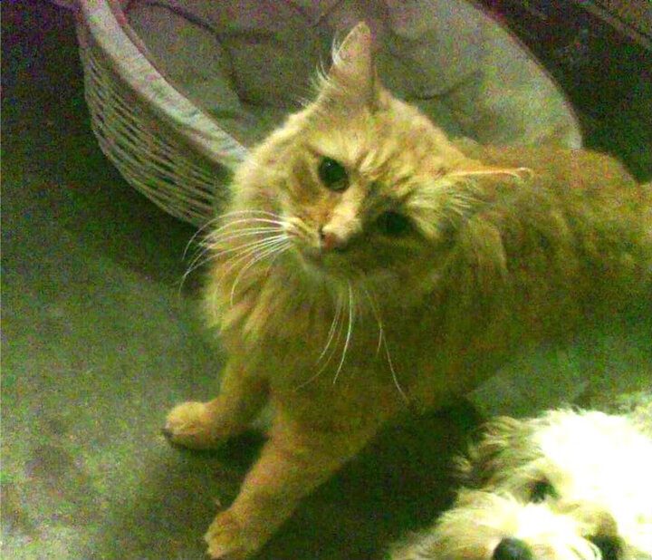 精密手术与重锤破城,论现代进攻的两极艺术