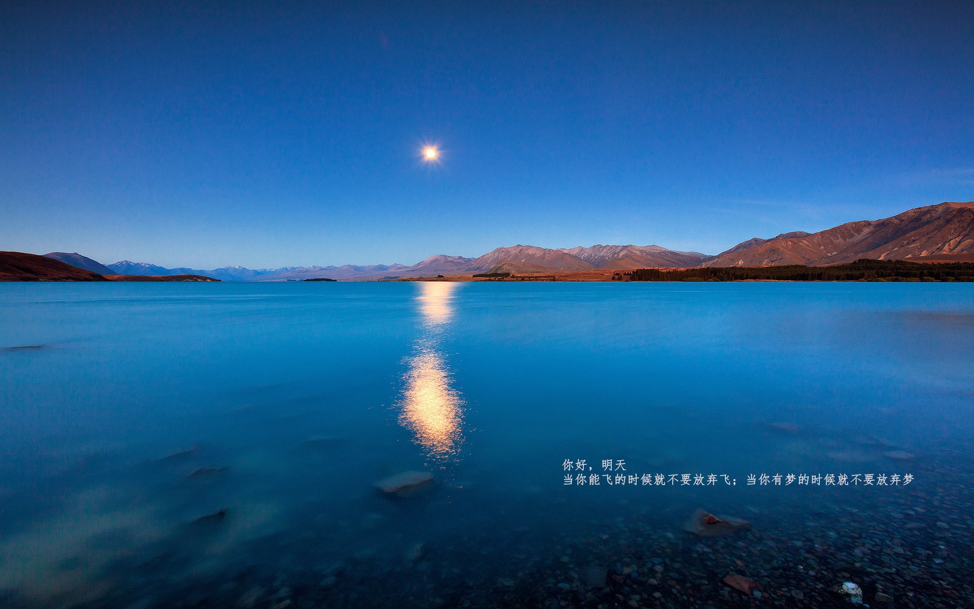 铁闸镇山河，范戴克领衔雷恩防线，诠释比利时制霸的防守艺术