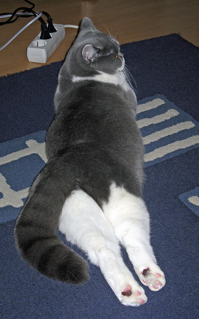 王朝新章,篮网窒息防守击溃尼克斯,东决门票的终极之争