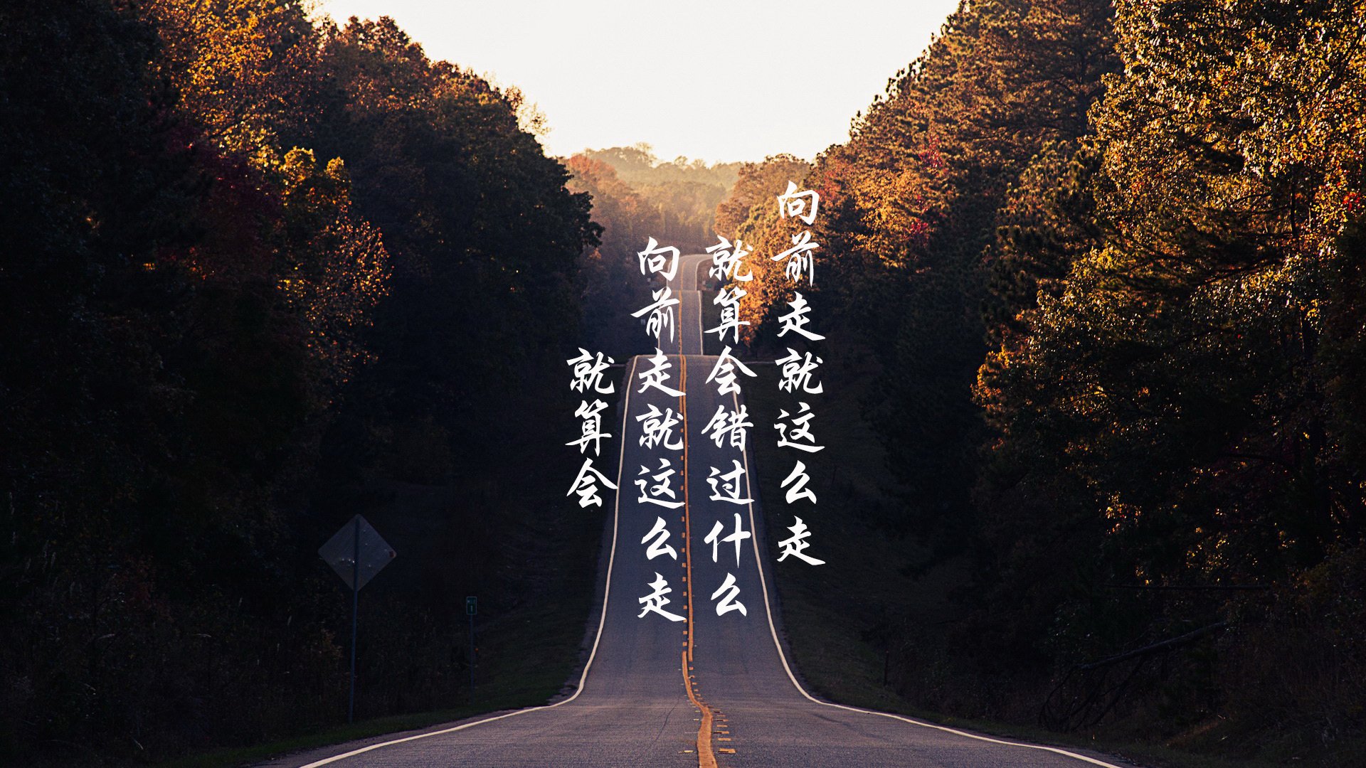 速度之战，F1街道赛焦点与快船得分压制的篮球演绎