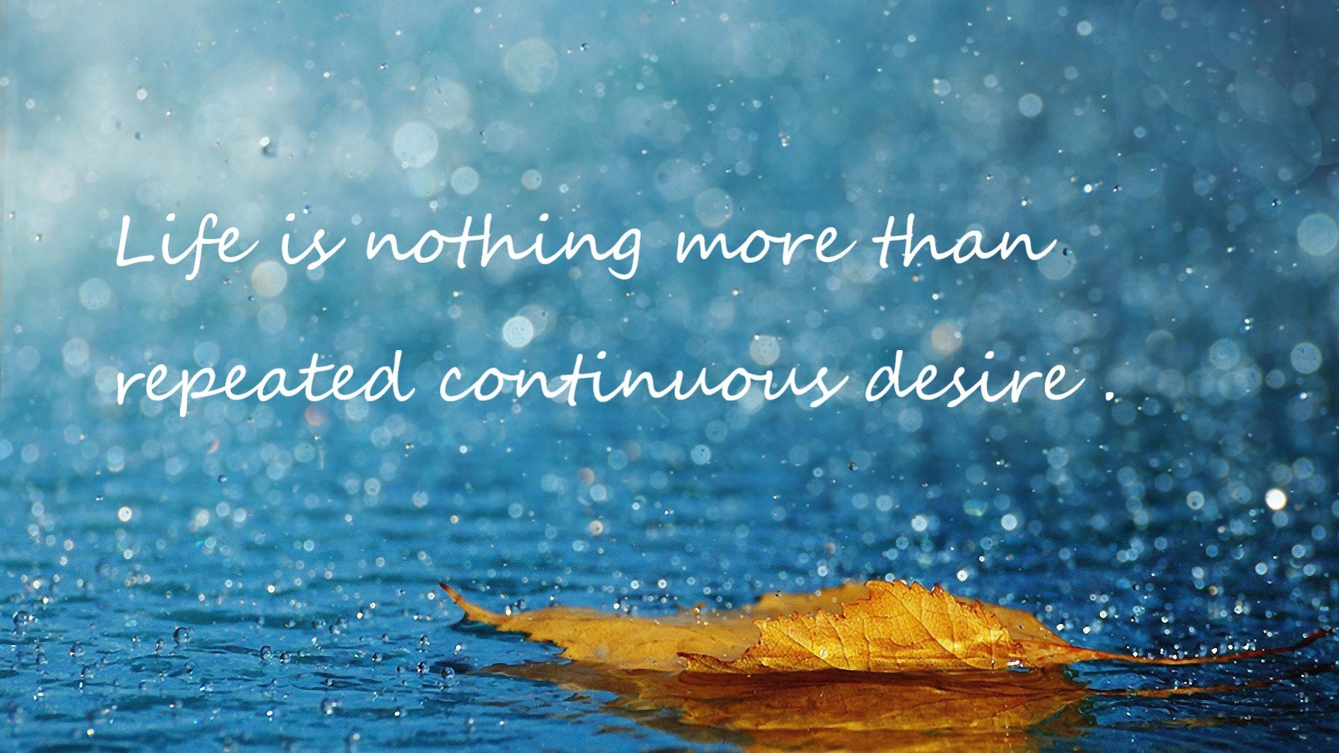 欧冠淘汰赛之夜，福克斯节奏如何成为豪门终结者