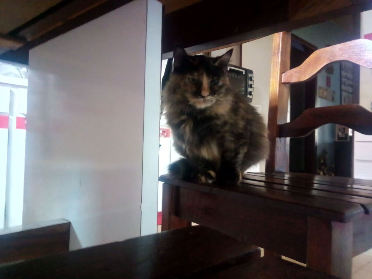 时空裂缝中的绿茵奇迹，当2022坎特降临圣西罗，AC米兰错位完胜几内亚