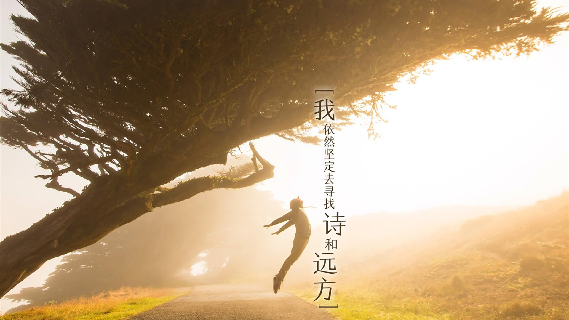 跨洋对决，切特全能爆发率活塞轻取深圳，季前悬念提前终结