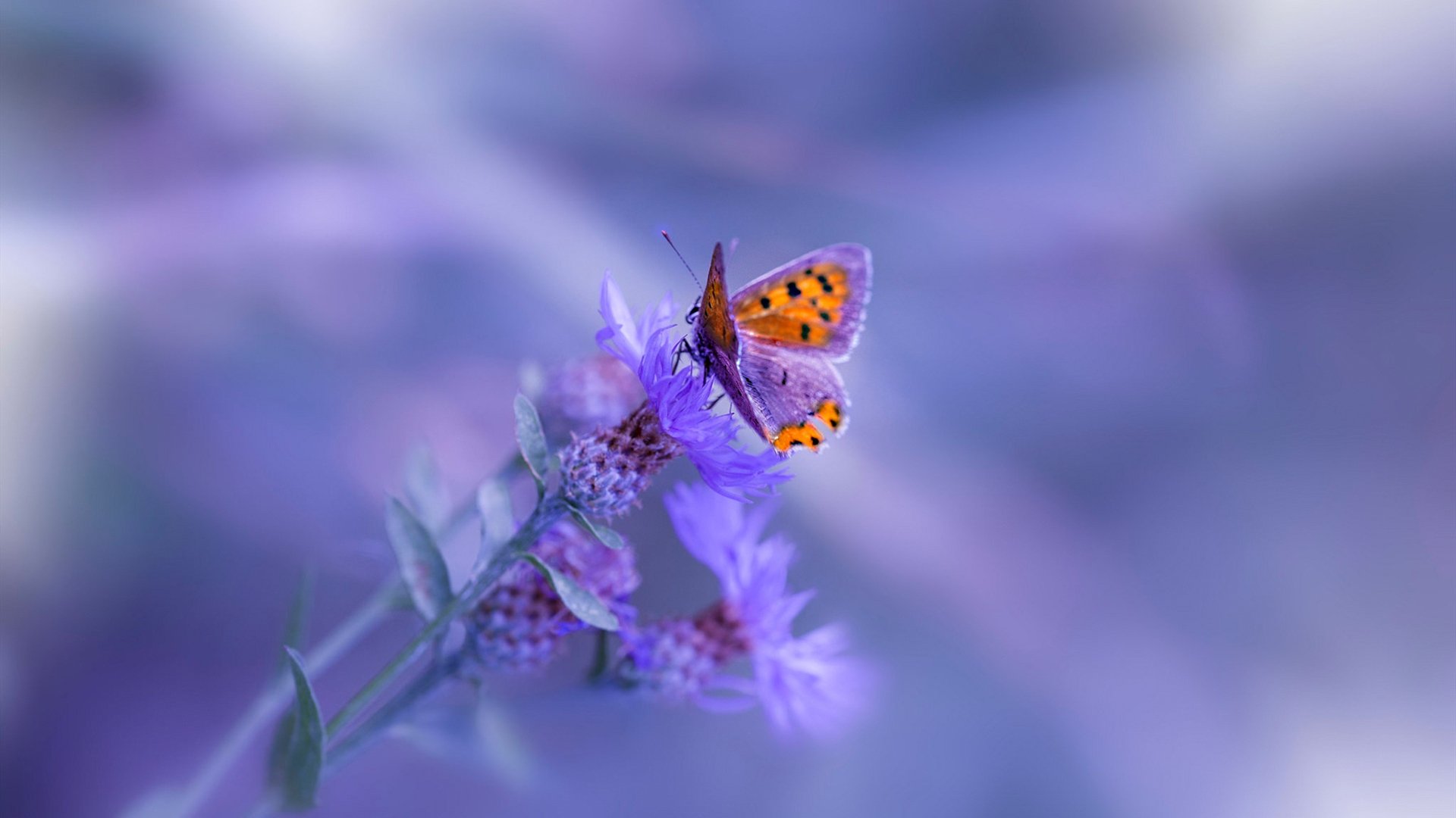 数据说他们毫无关联，但命运却在抢七夜同时拨动了时钟