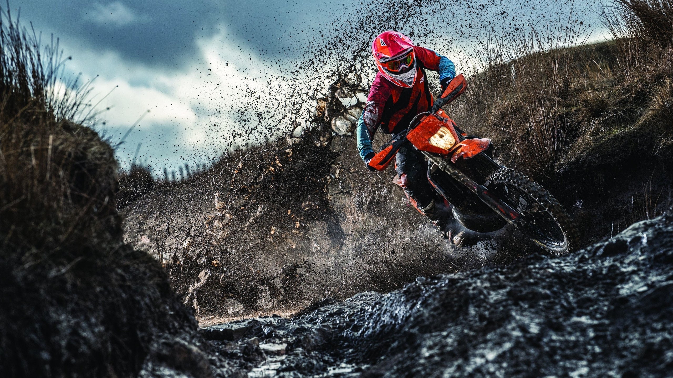 诅咒终结之夜，黄蜂18连败公牛的历史句点，恩比德加冕关键先生