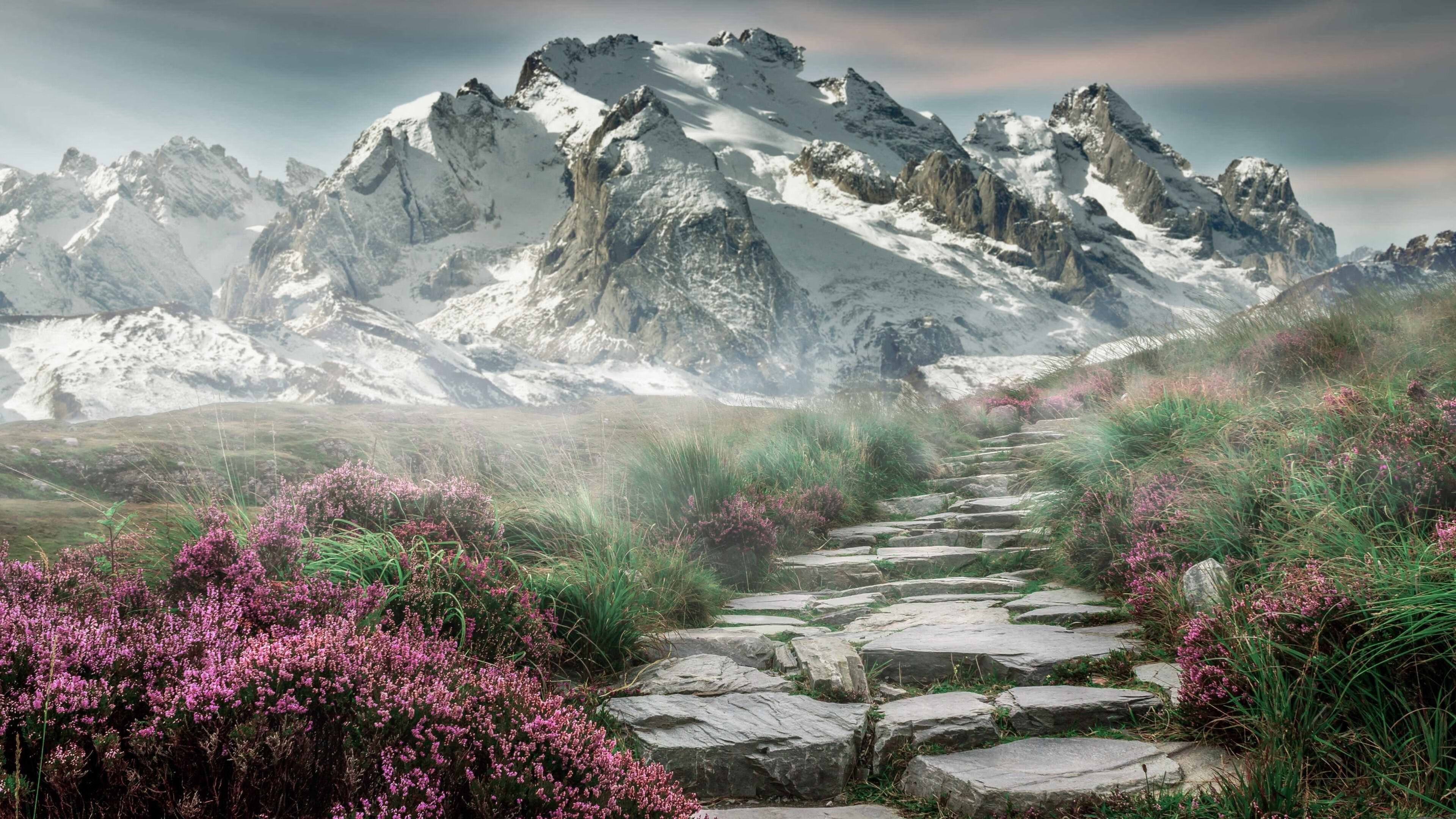 奥运前哨的烽火，决胜局绝境翻盘，上海队力克掘金锁定关键席位