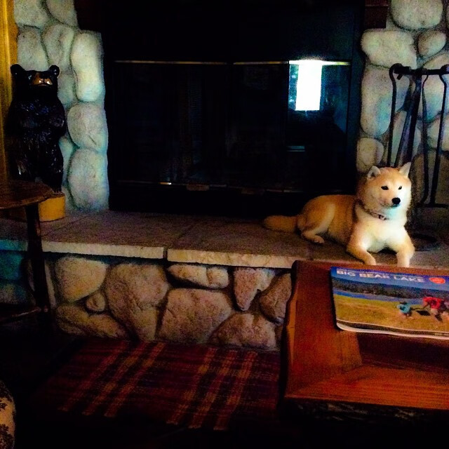 孤胆之勇，从浙江队到布伦森的竞技真谛