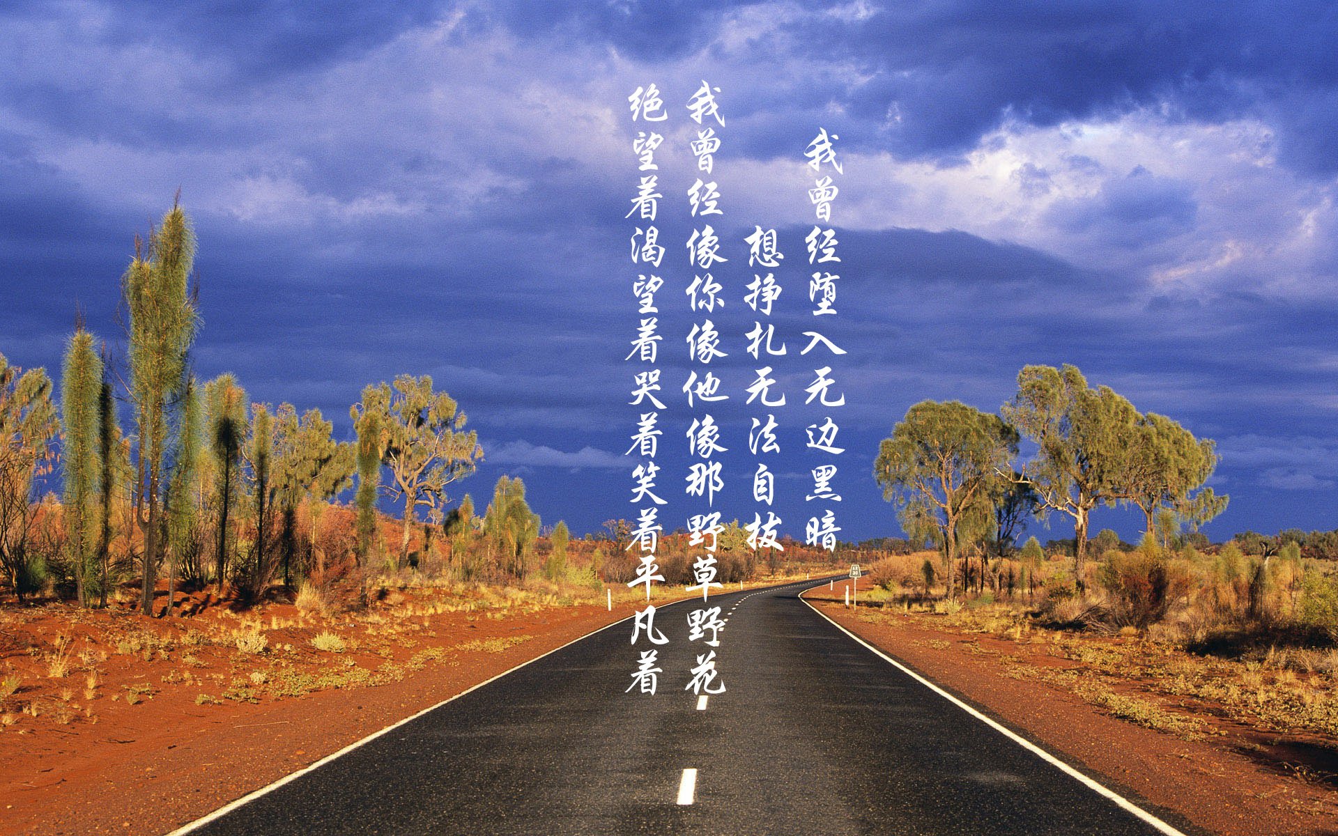 为了体现唯一性，我们不能仅仅写一篇常规的赛后复盘。我们要挖掘一场不可能的比赛，一个异化的英雄。卡瓦哈尔，作为西班牙最顶级的边后卫，通常扮演的是执行者而非收割者。而土耳其，往往被视为搅局者而非收割者