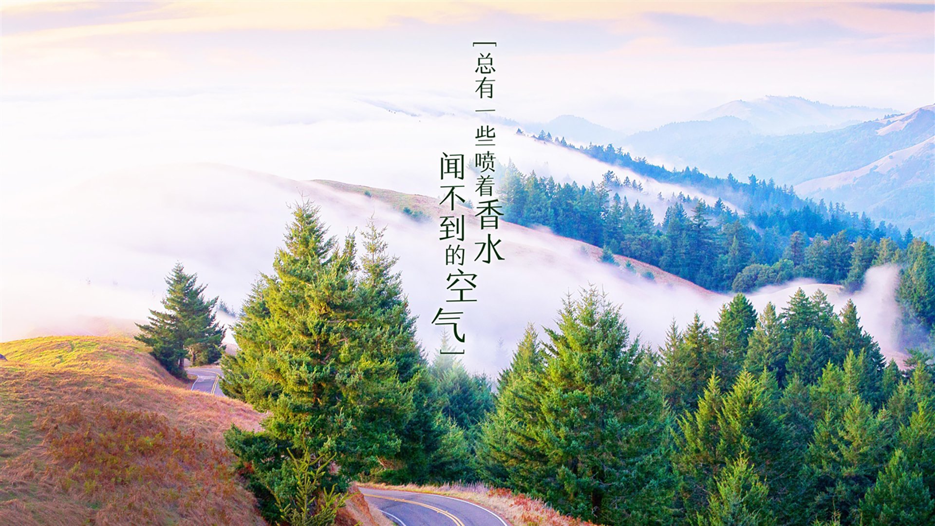 (扩展思维)