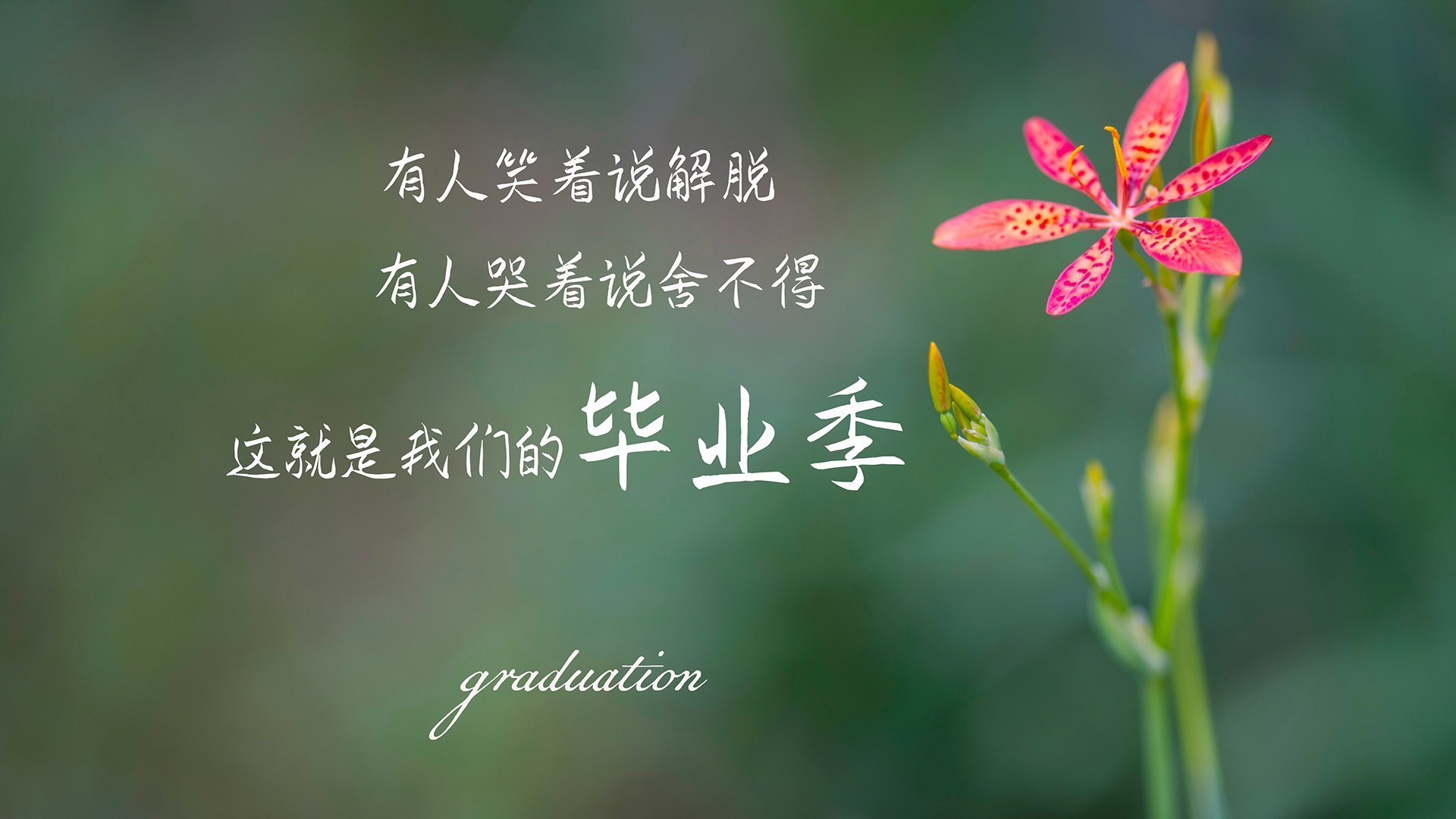 2026世界杯E组惊天变局，乌兹别克斯坦横扫阿根廷，托纳利独孤闪耀成唯一亮色